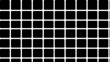 Hermanngitter - weiße parallele Linien längs und quer auf schwarzem Hinertgrund